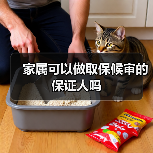 家属可以做取保候审的保证人吗（图1）