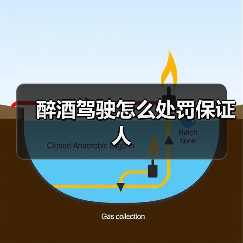 醉酒驾驶怎么处罚保证人（图1）
