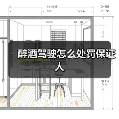 醉酒驾驶怎么处罚保证人（图3）