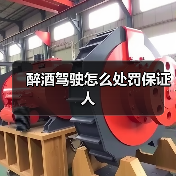 醉酒驾驶怎么处罚保证人（图4）