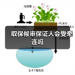 取保候审保证人会受牵连吗（图4）