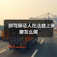醉驾保证人在法庭上需要怎么做（图3）