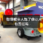 取保候审人跑了保证人有责任吗（图4）