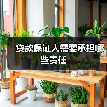 贷款保证人需要承担哪些责任（图3）