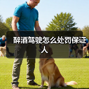 醉酒驾驶怎么处罚保证人（图3）