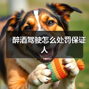 醉酒驾驶怎么处罚保证人（图4）