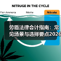劳盾法律会计指南:常见场景与选择要点2026(图2) 劳盾法律会计指南:常见场景与选择要点2026(图2)