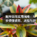 抵押咨询实用指南:5步搞懂资质、流程与避坑技巧(图4) 抵押咨询实用指南:5步搞懂资质、流程与避坑技巧(图4)